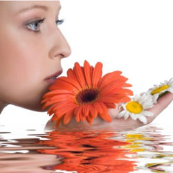 ���� �� �����: �������� �������